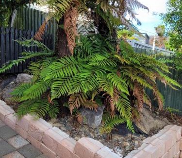 Nelson Apartment | Silver Fern Haven