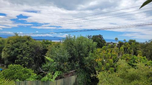 Nelson Apartment | Silver Fern Haven