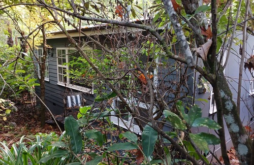 Silverstream Cottage | Silver Stream Cottage