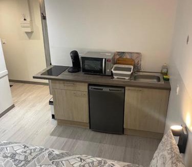 Meyzieu Nord Ouest Apartment | Silver Stuidio ARENA , Stade Groupama , Eurexpo