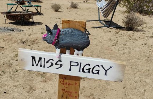 Twentynine Palms Other | Simply Camping