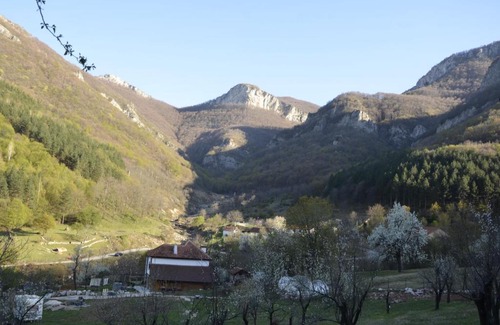 Vratsa Other | Sineva