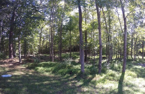 North Raleigh House | Single Family Culd-de-sac wooden lot home in Wakefield Plantation near TPA W/PGA