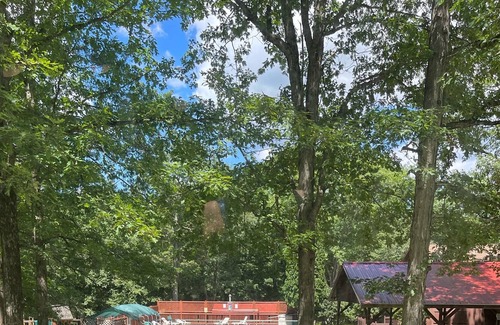 White Mills RV Rental | Single family mobile home for rent 5 mins from wallenpaupack.