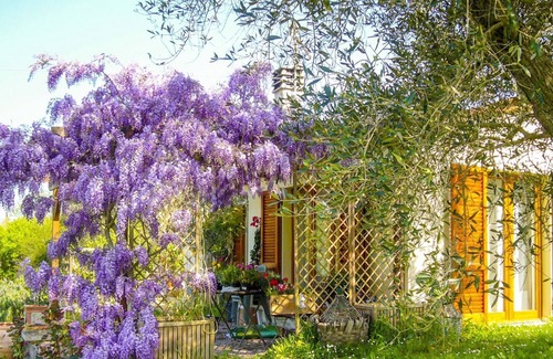 Portoferraio Villa | Single family villa with s garden in a quiet area near Portoferraio.