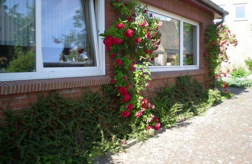 Suderstapel Apartment | Single room 3 Haus Village - Pension "Haus Village"