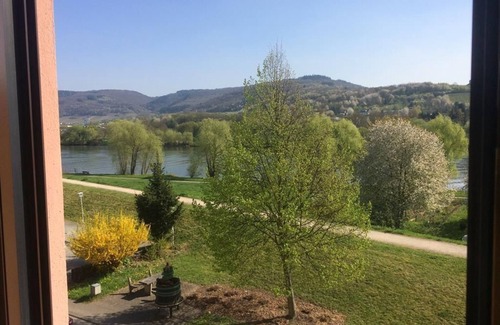 Lieser House | Single room - Moselle Hotel Lesura