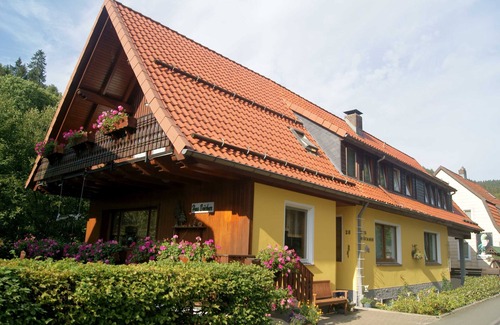 Wildemann Apartment | Single room - No. 09 - Pension Haus Brückner