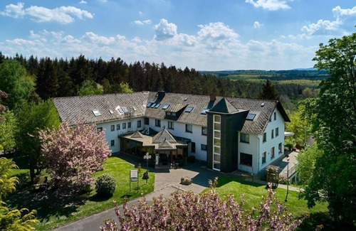 Kirchberg House | Single room, shower/WC, TV - Landhotel Karrenberg