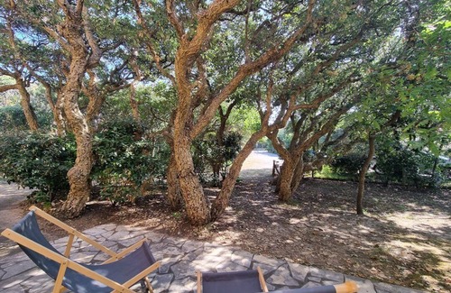 Soorts-Hossegor Apartment | Single-storey house for 5 holidaymakers with shared garden at the foot of the supervised beach.