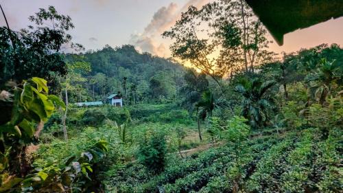 Kotapola House | Sinharaja Forest Lodge - Deniyaya