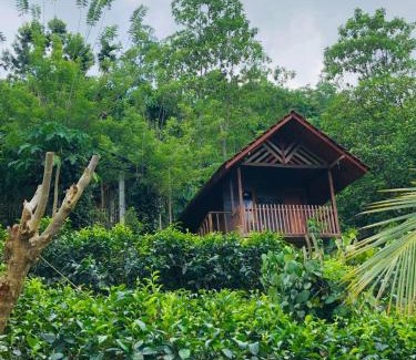 Kotapola House | Sinharaja Forest Lodge - Deniyaya