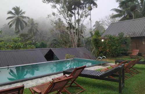 Kotapola Cabin | Sinharaja Forest Sanctuary - The Forest's Edge, Reflected in Blue