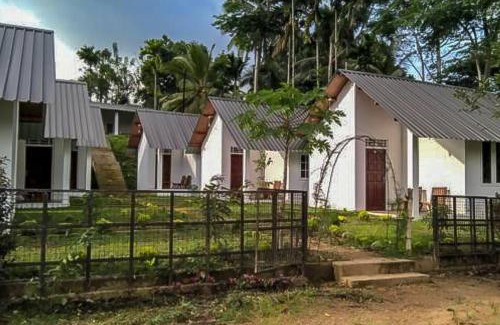 Kotapola Cabin | Sinharaja Forest Sanctuary - The Forest's Edge, Reflected in Blue