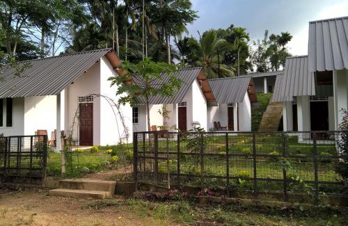 Kotapola Ski Chalet | Sinharaja Forest Sanctuary