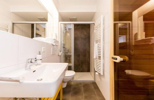 Haus im Ennstal Apartment | Sissi Park Haus im Ennstal - Schladming