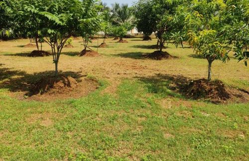 Bhimunipatnam Villa | Siva Rama garden 5star stay , swimming pool,room nomber 3&4, , bheemili to dorathota