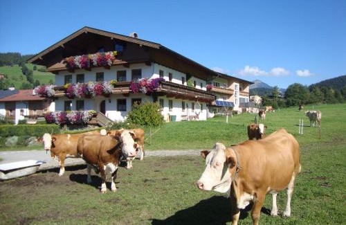 Niederau Apartment | Sixenhof