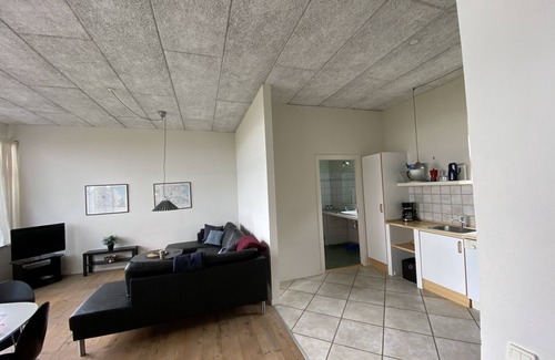 Nyborg Condo | Skærven Beachfront Apartment D