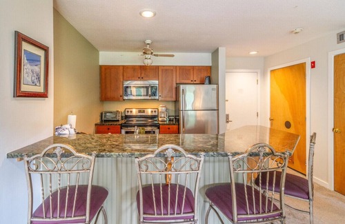 Ludlow Condo | Ski Haven: 1-Bed Ski-in/out Condo, Okemo Base Area