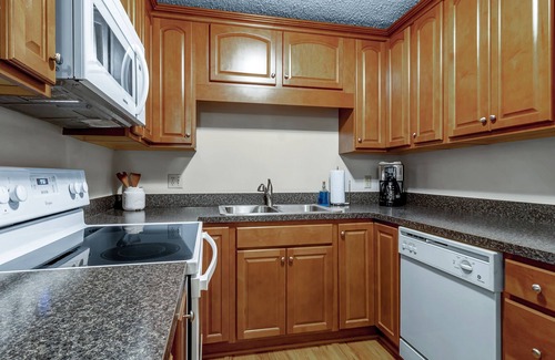 Great Valley Condo | Ski-in/Ski-out 2 Bed, 2 Bath condo Holiday Valley