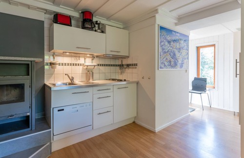 Bad Gastein Apartment | Ski-in/ski-out apartment on a glacier boulder