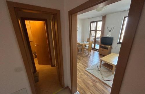 Shiligarnika Apartment | Ski-in ski-SPA at Mountain View