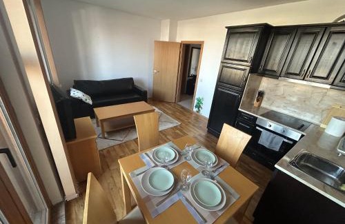 Shiligarnika Apartment | Ski-in ski-SPA at Mountain View