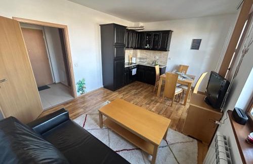 Shiligarnika Apartment | Ski-in ski-SPA at Mountain View