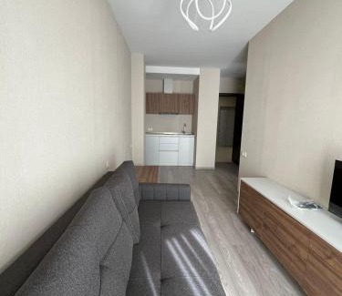 Bakuriani Apartment | Ski & Spa Apartment at Crystal