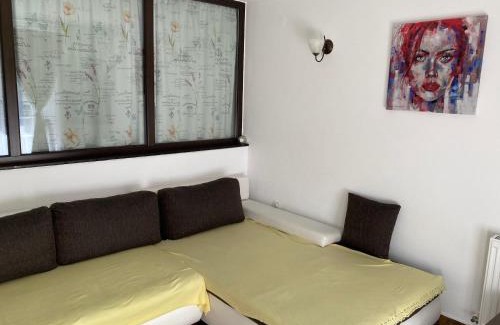 Azuga Apartment | Ski View Studio - near the ski slopes