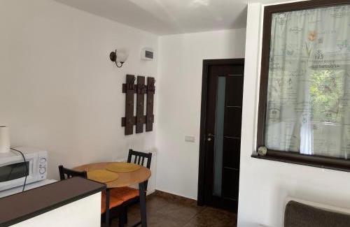 Azuga Apartment | Ski View Studio - near the ski slopes