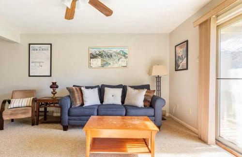 Ellicottville Apartment | SKIING, HIKING, VILLAGE OF EVILLE MTN ESCAPE