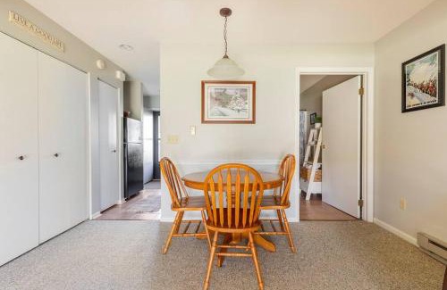 Ellicottville Apartment | SKIING, HIKING, VILLAGE OF EVILLE MTN ESCAPE