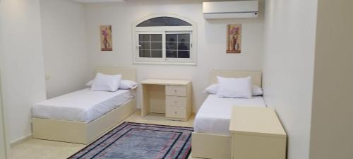 Mansoura Apartment | skn hotal