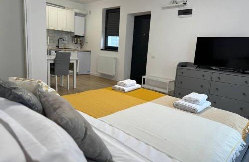 Otopeni Apartment | Sky Residence Airport Therme Otopeni 2