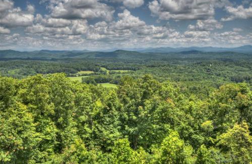 Mineral Bluff House | Skys The Limit - Blue Ridge Cabin - Pet Friendly