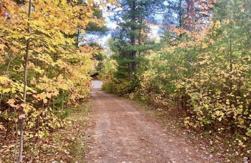 Conover House | Sled Inn - Secluded 5 Acres and ON the Trails!! 500 Feet From Drive to Trails