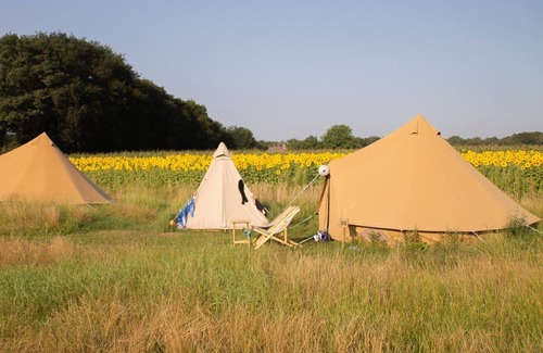 Notter Cabin | Sleep in Mölkes backyard! Enjoy a wonderful festival atmosphere and make use of all our facilities!