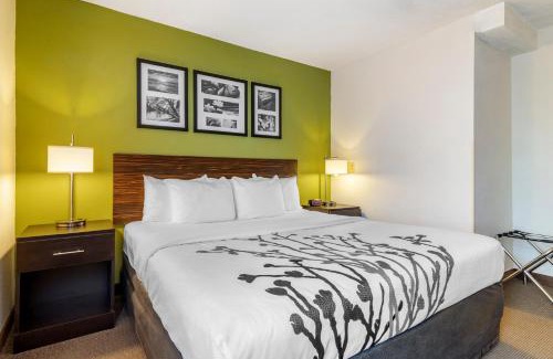 Port Wentworth Hotel | Sleep Inn I-95 North Savannah