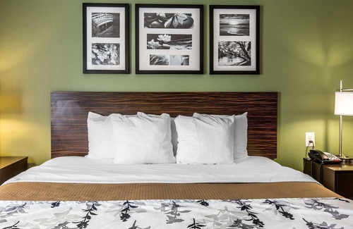 Mount Olive Hotel | Sleep Inn & Suites Mount Olive North