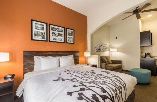 Stafford Hotel | Sleep Inn & Suites Stafford - Sugarland