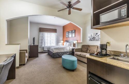 Stafford Hotel | Sleep Inn & Suites Stafford - Sugarland