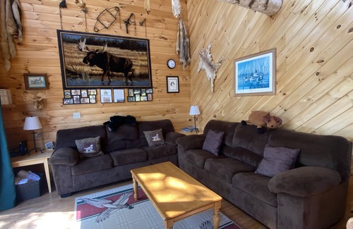 Hartwick Cabin | Sleeps 7-10, Hot tub, High Speed Internet, Team Parties Welcome!