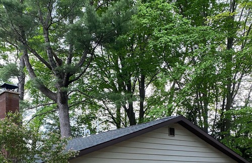 Marion Cabin | Sleepy Riverfront Cabin on Middle Branch River - 5 min from Marion - 20 min from cadillac/lake city