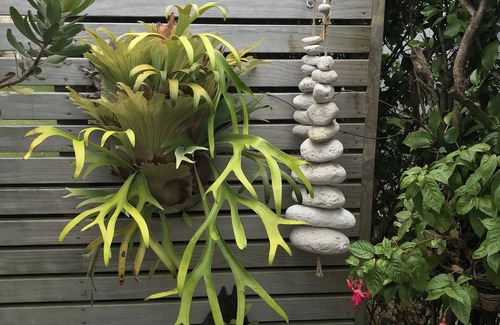 Waihi Beach Apartment | Small self contained studio with private deck, 5 mins walk to beach(vaccinated)