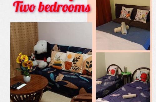 Batu Pahat Apartment | Snoopy homestay Two Bedroom