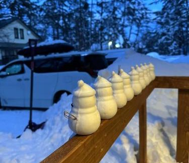 Iimori Villa | Snow Face 别莊
