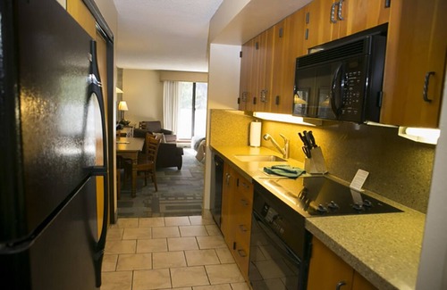 Salt Lake Mountain Resorts Condo | Snowbird slopeside studio unit with stunning mountain views!