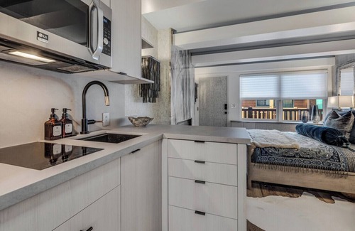 Aspen Condo | Snowcap Suite | Luxe Studio in Heart of D/T Aspen